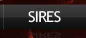 Sires